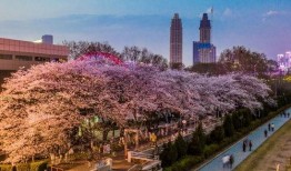 网红黑料爆料网在线看 吃瓜爆料每日大赛最新动态,吃瓜大赛每日最新动态揭秘